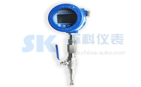 插入式熱式氣體質(zhì)量流量計圖示
